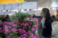 Floral Expo In Nepal