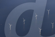 Noordoostpolder Offshore Windpark