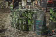 Açaí Market In The City Of Belém In The Brazilian Amazon