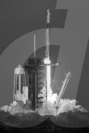 NASA Spacex Crew 10 Launch To ISS