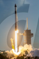 Crew 10 Launch