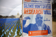 Colorectal Cancer Art Installation On The National Mall