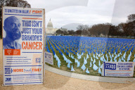 Colorectal Cancer Art Installation On The National Mall