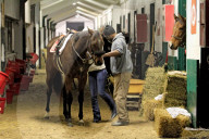 Morning Workouts For Thoroughbred Race Horses At Woodbine Racetrack, Toronto, Canada