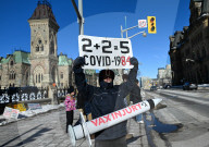 Daily Life In Ottawa