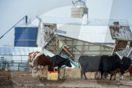 Severe Weather — Including High Winds — Moves Through Central U.S.