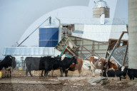 Severe Weather — Including High Winds — Moves Through Central U.S.