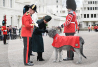 Kate Middleton enjoys a pint of Guinness on StPatrick's Day 