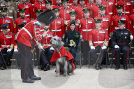 Kate Middleton at the Irish Guard's StPatrick's Day Parade