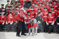 Kate Middleton at the Irish Guard's StPatrick's Day Parade