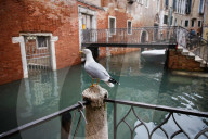 Economy And Business In Venice, Italy