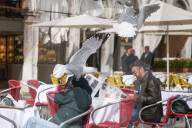 Economy And Business In Venice, Italy