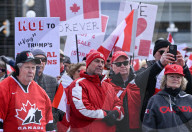 Hundreds Attend 'Elbows Up, Canada!' Rally In Ottawa