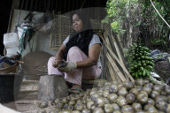 Production Of Sugar Palm Fruit During Ramadan