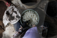 Production Of Sugar Palm Fruit During Ramadan