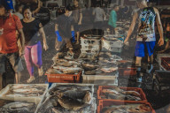 Fish Market In The City Of Belém In The Brazilian Amazon