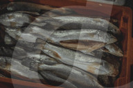 Fish Market In The City Of Belém In The Brazilian Amazon