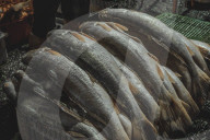 Fish Market In The City Of Belém In The Brazilian Amazon