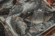 Fish Market In The City Of Belém In The Brazilian Amazon