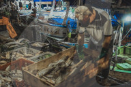 Fish Market In The City Of Belém In The Brazilian Amazon