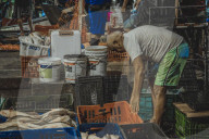 Fish Market In The City Of Belém In The Brazilian Amazon