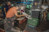 Fish Market In The City Of Belém In The Brazilian Amazon