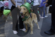 Saint Patrick's Day In Mexico