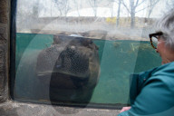 Wildlife At The Cincinnati Zoo And Botanical Garden