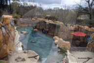 Wildlife At The Cincinnati Zoo And Botanical Garden