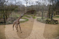 Wildlife At The Cincinnati Zoo And Botanical Garden