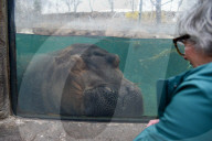 Wildlife At The Cincinnati Zoo And Botanical Garden
