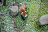 Wildlife At The Cincinnati Zoo And Botanical Garden