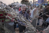 Iran-New Year Shopping