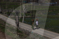 Encounter In Kashmir 