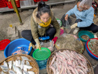 Street Market In Vietnam