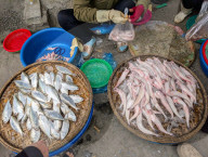 Street Market In Vietnam
