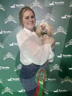 FEATURE - Shih Tzu Hündin Rhuh wurde bei der diesjährigen Crufts Hundeschau ausgezeichnet, obwohl sie nur ein Auge hat