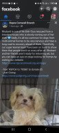 FEATURE - Shih Tzu Hündin Rhuh wurde bei der diesjährigen Crufts Hundeschau ausgezeichnet, obwohl sie nur ein Auge hat
