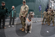 St. Patrick’s Day Parade In New York City