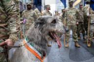 St. Patrick’s Day Parade In New York City