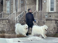 Daily Life In Richmond Hill, Canada