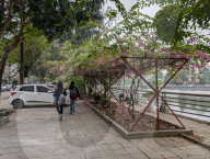 Riverside Walkway With Blooming Bougainvillea In Vietnam