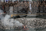 Protesters Dump Blackchin Tilapia In Front Of Police