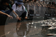 Protesters Dump Blackchin Tilapia In Front Of Police