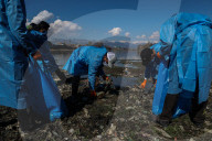 Polluted Water Bodies In Kashmir 