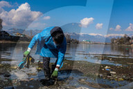 Polluted Water Bodies In Kashmir 
