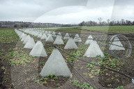 Farmers continue growing crops on Ukraine front line