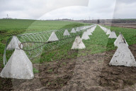 Farmers continue growing crops on Ukraine front line