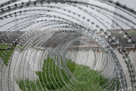 Farmers continue growing crops on Ukraine front line