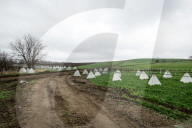 Farmers continue growing crops on Ukraine front line